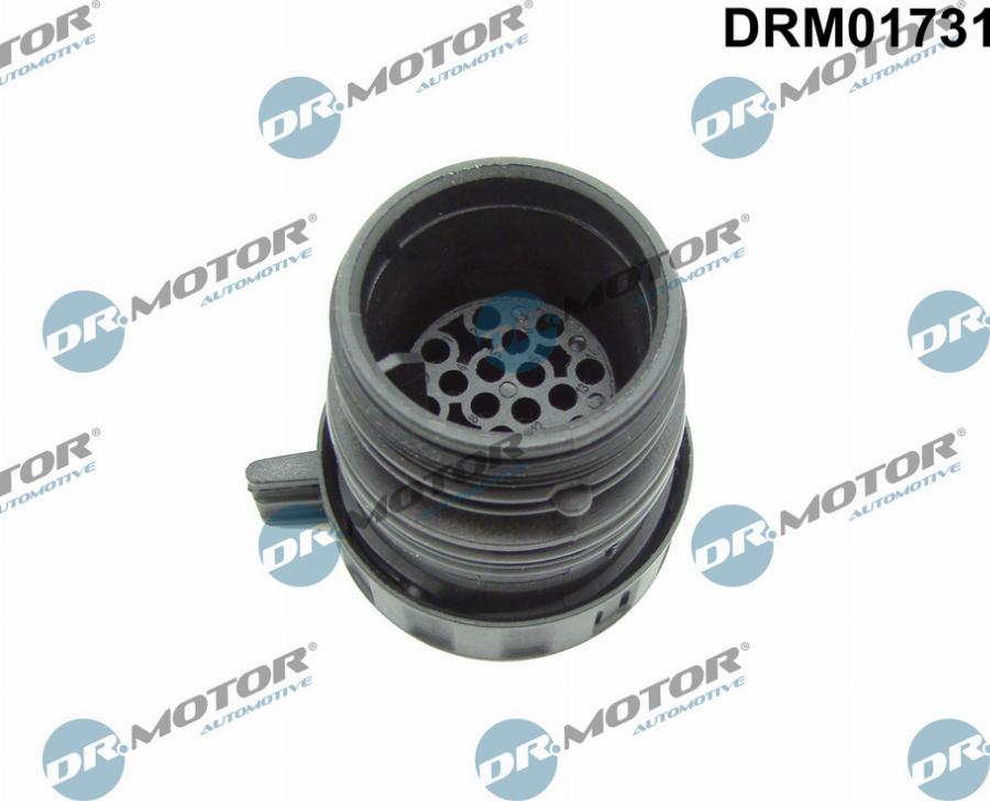 Dr.Motor Automotive DRM01731 - Кожух, управляващ модул за автоматична скоростна кутия vvparts.bg