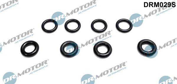 Dr.Motor Automotive DRM029S - Уплътнение, дюзодържач vvparts.bg