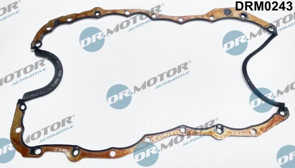 Dr.Motor Automotive DRM0243 - Уплътнение, маслоутаител vvparts.bg