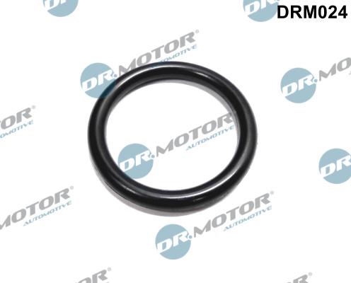 Dr.Motor Automotive DRM024 - Уплътнение, фланец на охладителната течност vvparts.bg