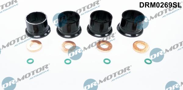 Dr.Motor Automotive DRM0269SL - Комплект гарнитури, впръскваща дюза vvparts.bg