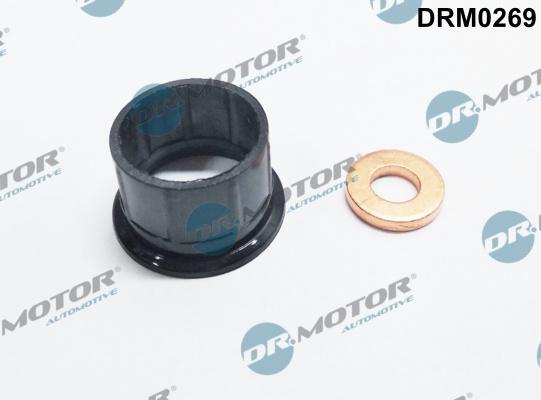 Dr.Motor Automotive DRM0269 - Комплект гарнитури, впръскваща дюза vvparts.bg