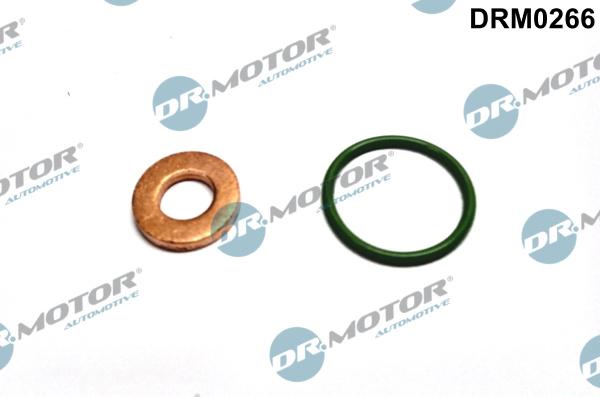 Dr.Motor Automotive DRM0266 - Комплект гарнитури, впръскваща дюза vvparts.bg