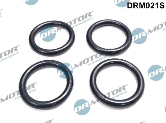 Dr.Motor Automotive DRM021S - Уплътнение, всмукателен колектор vvparts.bg