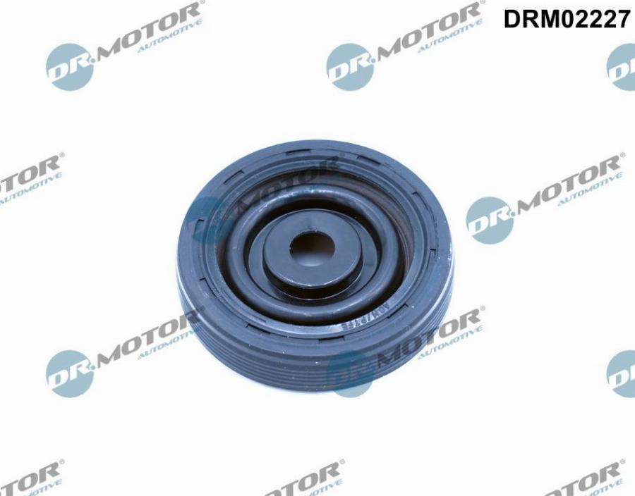 Dr.Motor Automotive DRM02227 - Семеринг, колянов вал vvparts.bg