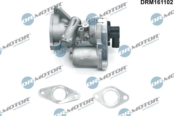 Dr.Motor Automotive DRM161102 - AGR-Клапан vvparts.bg