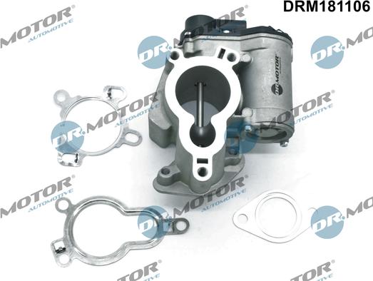 Dr.Motor Automotive DRM181106 - AGR-Клапан vvparts.bg