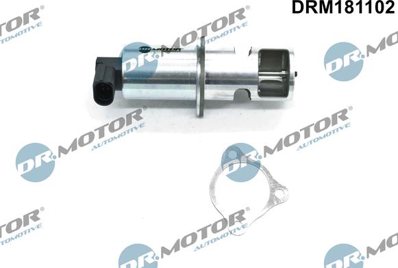 Dr.Motor Automotive DRM181102 - AGR-Клапан vvparts.bg