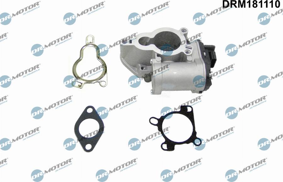 Dr.Motor Automotive DRM181110 - AGR-Клапан vvparts.bg