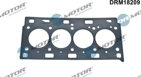 Dr.Motor Automotive DRM18209 - Гарнитура, цилиндрова глава vvparts.bg