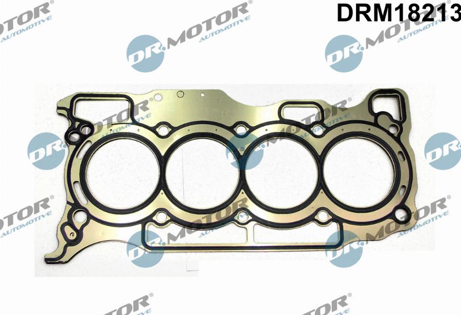 Dr.Motor Automotive DRM18213 - Гарнитура, цилиндрова глава vvparts.bg