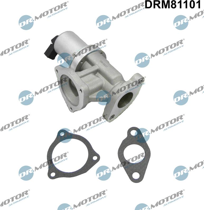 Dr.Motor Automotive DRM81101 - AGR-Клапан vvparts.bg