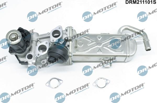 Dr.Motor Automotive DRM211101S - AGR-Клапан vvparts.bg
