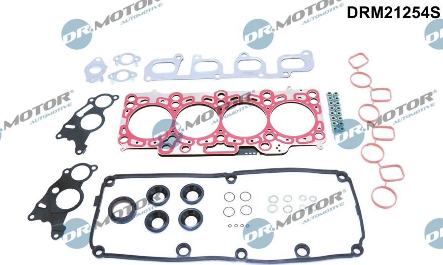 Dr.Motor Automotive DRM21254S - Пълен комплект гарнитури, двигател vvparts.bg