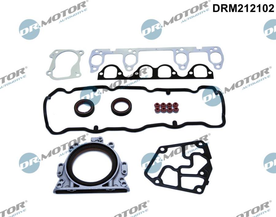 Dr.Motor Automotive DRM212102 - Пълен комплект гарнитури, двигател vvparts.bg