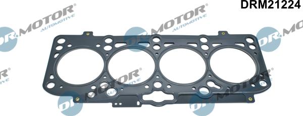 Dr.Motor Automotive DRM21224 - Гарнитура, цилиндрова глава vvparts.bg