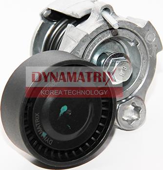 Dynamatrix DT60003 - Паразитна / водеща ролка, пистов ремък vvparts.bg