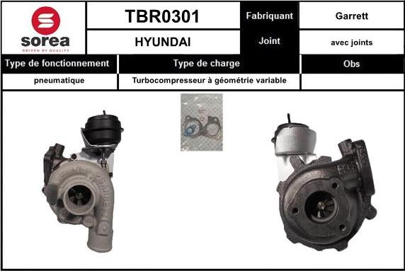 EAI TBR0301 - Турбина, принудително пълнене с въздух vvparts.bg