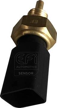 EFI 295150 - Датчик, температура на охладителната течност vvparts.bg