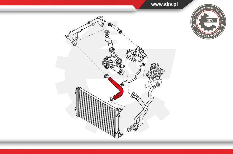 Esen SKV 43SKV709 - Маркуч на радиатора vvparts.bg