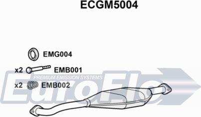 EuroFlo ECGM5004 - Катализатор vvparts.bg