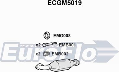 EuroFlo ECGM5019 - Катализатор vvparts.bg