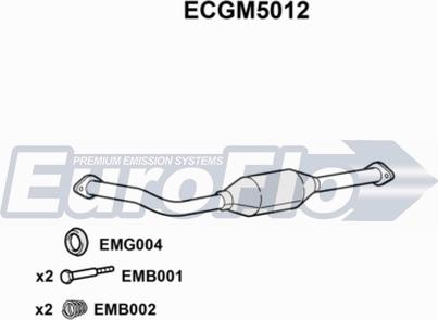 EuroFlo ECGM5012 - Катализатор vvparts.bg