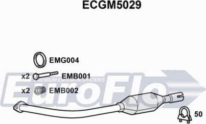 EuroFlo ECGM5029 - Катализатор vvparts.bg