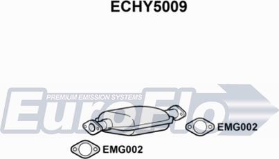 EuroFlo ECHY5009 - Катализатор vvparts.bg