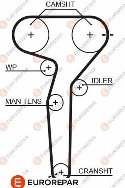 EUROREPAR 1633134380 - Ангренажен ремък vvparts.bg