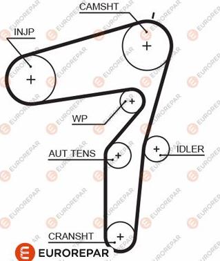 EUROREPAR 1633135080 - Ангренажен ремък vvparts.bg