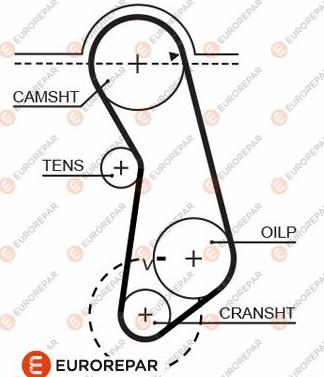 EUROREPAR 1633136980 - Ангренажен ремък vvparts.bg