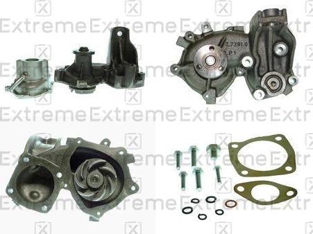 EXTREME 98980520 - Водна помпа vvparts.bg