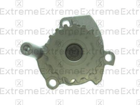 EXTREME 98980206 - Водна помпа vvparts.bg