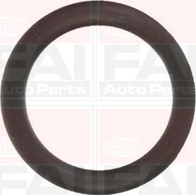 FAI AutoParts IM1157 - Комплект гарнитури, всмукателен колектор vvparts.bg