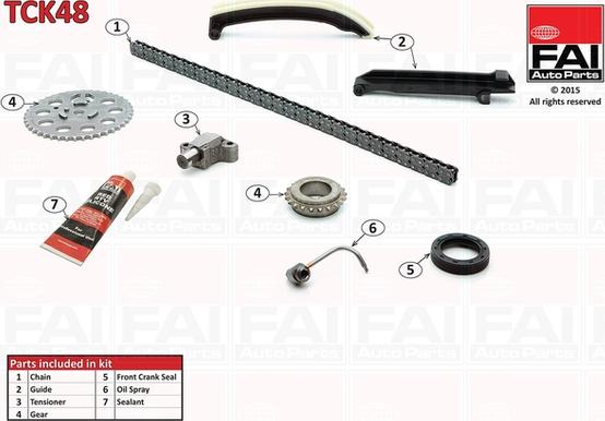 FAI AutoParts TCK48 - Комплект ангренажна верига vvparts.bg