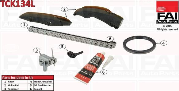 FAI AutoParts TCK134L - Комплект ангренажна верига vvparts.bg