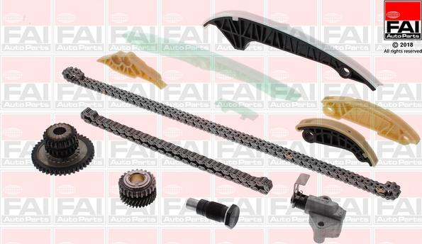 FAI AutoParts TCK306NG - Комплект ангренажна верига vvparts.bg