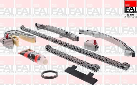 FAI AutoParts TCK31WO - Комплект ангренажна верига vvparts.bg