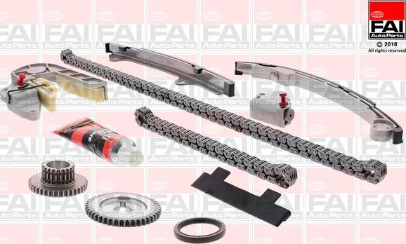 FAI AutoParts TCK31 - Комплект ангренажна верига vvparts.bg