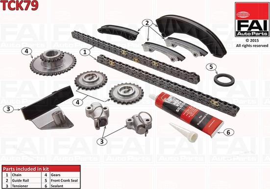 FAI AutoParts TCK79 - Комплект ангренажна верига vvparts.bg