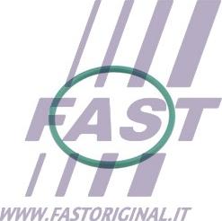 Fast FT49921 - Уплътнител, въздуховод турбина vvparts.bg