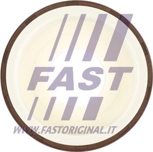 Fast FT49817 - Семеринг, колянов вал vvparts.bg