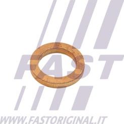 Fast FT48802 - Уплътнение, входен отвор на турбина vvparts.bg