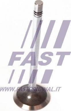 Fast FT50135 - Всмукателен клапан vvparts.bg