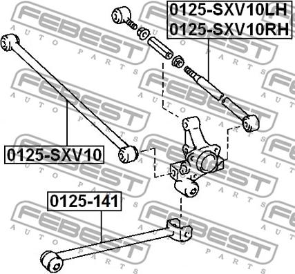 Febest 0125-141 - Носач, окачване на колелата vvparts.bg