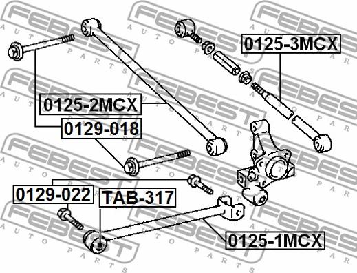 Febest 0129-022 - Болт за регулиране на страничния наклон vvparts.bg