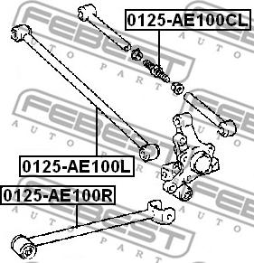 Febest 0125-AE100CL - Носач, окачване на колелата vvparts.bg