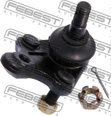 Febest 0120-405 - Шарнири vvparts.bg