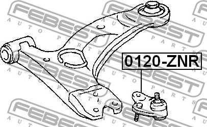 Febest 0120-ZNR - Шарнири vvparts.bg